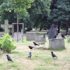 Brompton Cemetery
