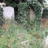 Brompton Cemetery