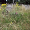 Brompton Cemetery