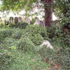 Brompton Cemetery