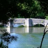The bridge through the trees