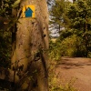 Waymarker