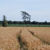 Farmland at Shackerstone