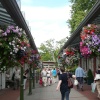 Clark's Village at Street