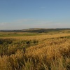 Seaford Head