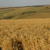 Seaford Head