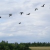 Anglers Country Park