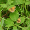Anglers Country Park
