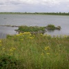 Anglers Country Park