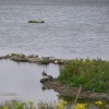 Anglers Country Park