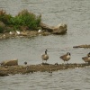 Anglers Country Park
