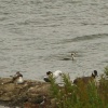 Anglers Country Park