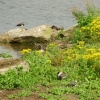 Anglers Country Park