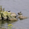 Anglers Country Park