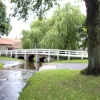 The Ford