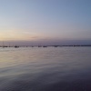 Old Felixstowe from Bawdsey Quay