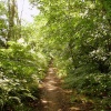 The River Path