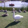 Theme Park