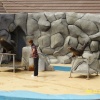Theme Park