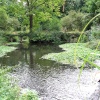 Morden Hall Park Water and Arches