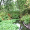 Morden Hall Park