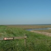 Freiston Shore