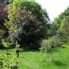 Garden at Dalemain, Penrith, Cumbria