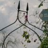 Entrance to Steeple Claydon allotments, Bucks.
