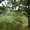 Doulton's Claypit