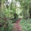 Horsenden Hills