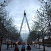 London Eye
