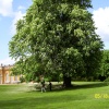 Wrest Park