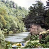 By the river