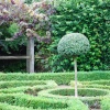 The knot garden at Moseley Old Hall