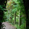 What's around the corner