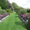 Topiary & borders