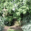 Part of the Garden