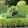 Topiary & formal display