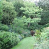 The Dell