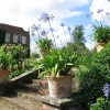 The Garden