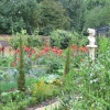 Ornamental Kitchen Garden