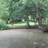 The Lake Field