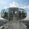 One of the Capsules