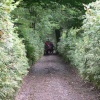 Lud Gate