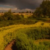Maze world