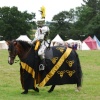 The Black Knight