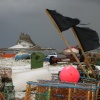 Lindisfarne beach1