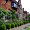 The Lower Garden