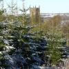 Silkstone Church