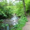 Brock Bottoms